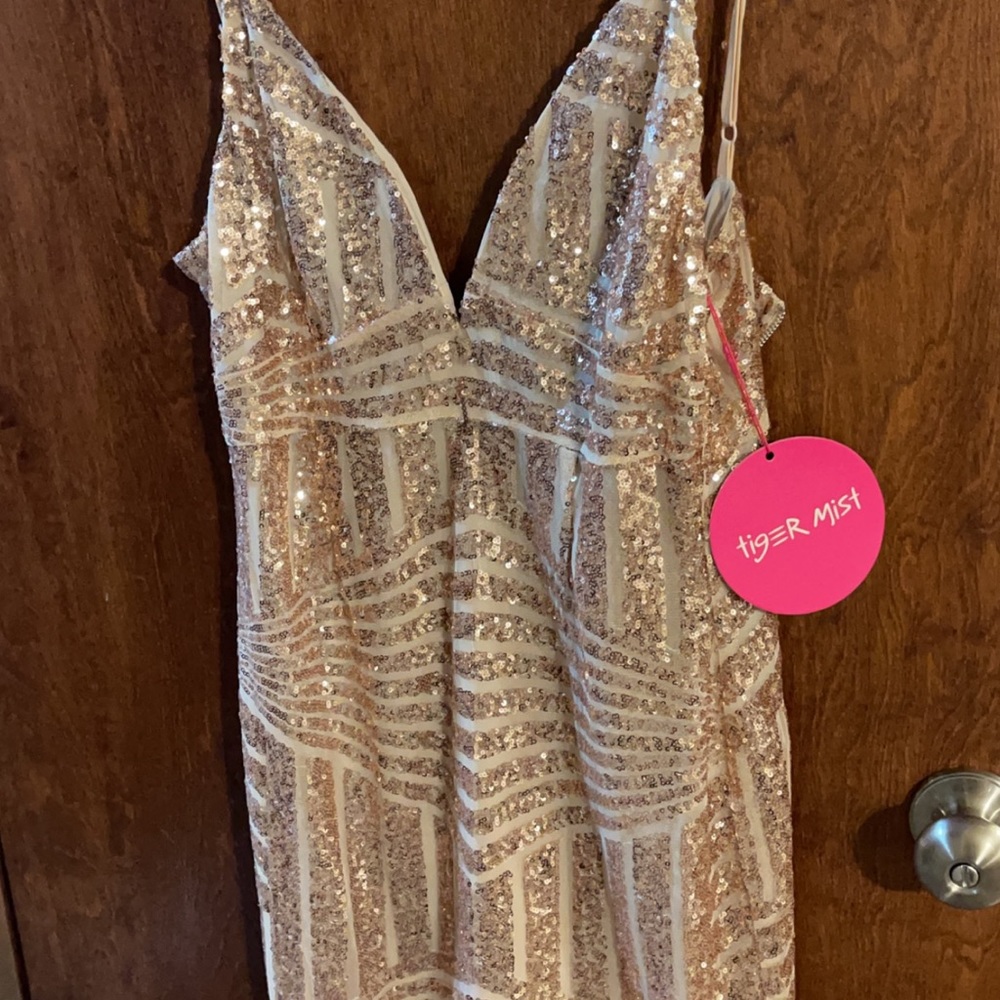 Gold sequin dress.